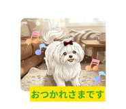 856197568
