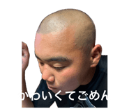 856197837