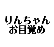 856198105