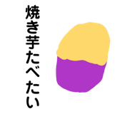 856198167