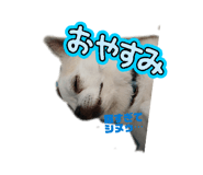 856198434