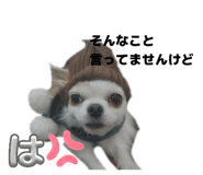 856198440