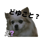 856198449