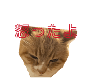 856198700