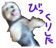 856199374