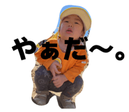 856200404