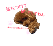 856200722