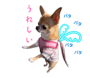 856201002