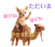 856201004
