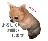 856201007