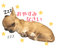 856201008
