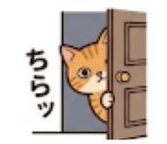 856202144