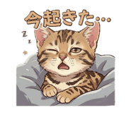 856202810