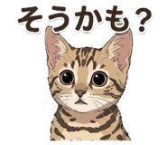 856202813