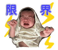 856203530