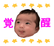 856203531