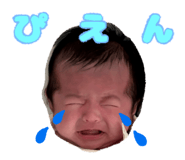 856203535