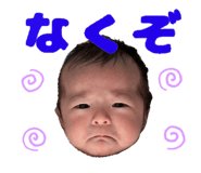 856203537