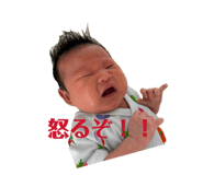 856204626
