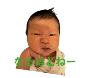 856204628