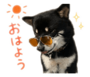 856205465