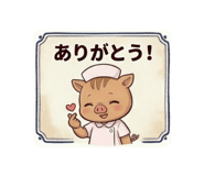 856205639