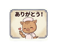 856205641