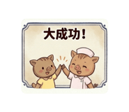 856205646