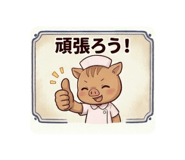 856205647