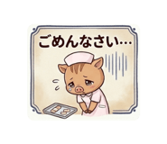 856205650