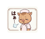 856205662