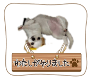 856205962