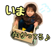 856206330