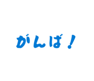 856207070