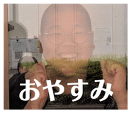 856207464