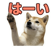 856207574