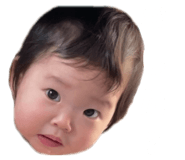 856207587