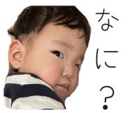 856207592