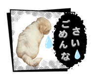 856208420