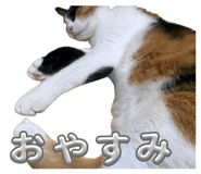 856208463