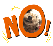 856208688