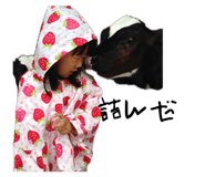 856208692