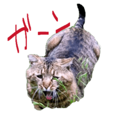 856209192