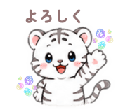 856209334