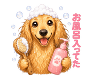 856209372
