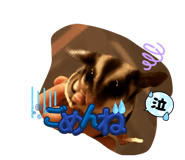 856209525