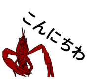 856209905