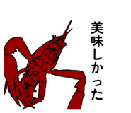 856209912