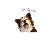 856210021