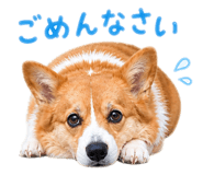 856210853
